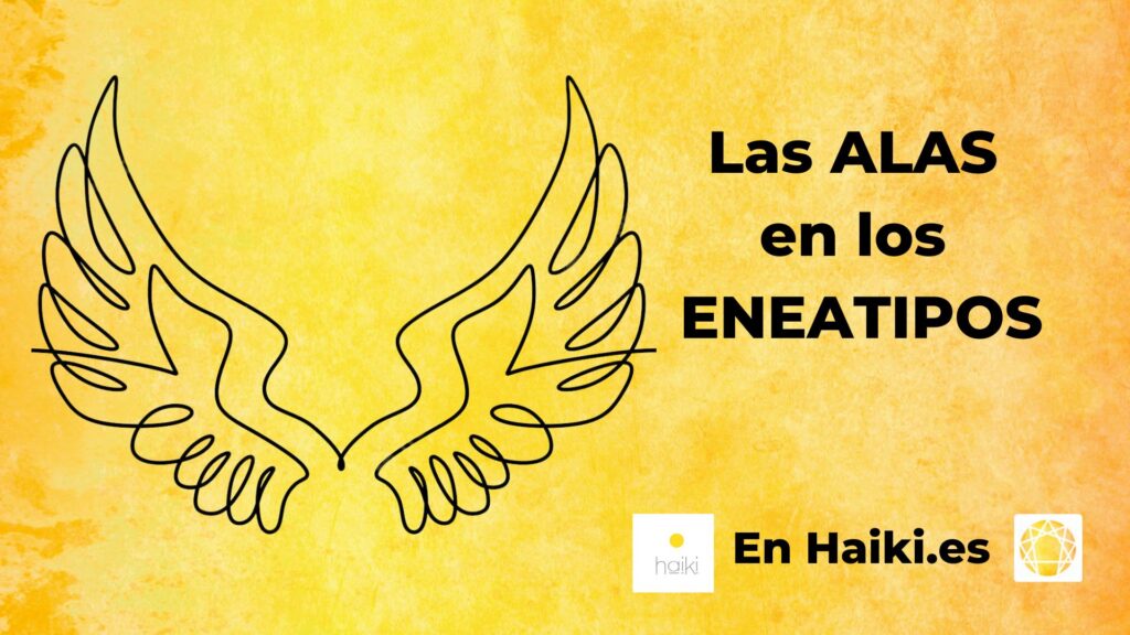 Qué son las alas, cuáles son sus usos y conceptos esenciales