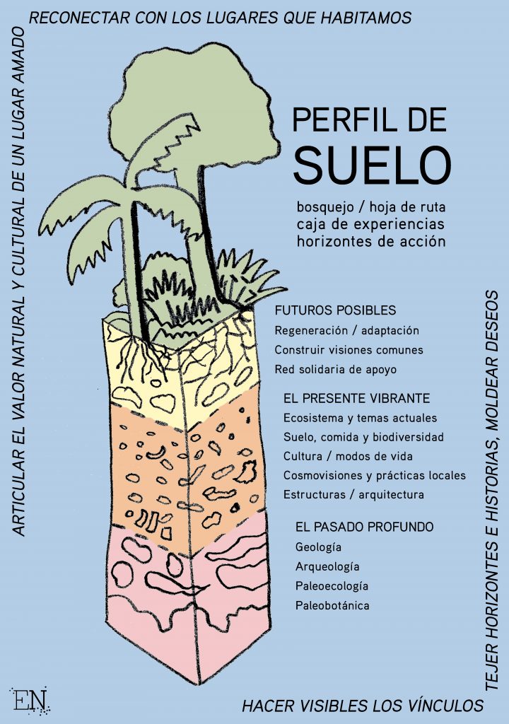 Qué son las capas del suelo y cuáles son sus horizontes ocultos