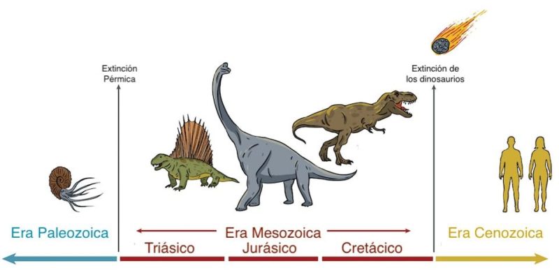 Qué son las eras geológicas y cuáles son sus clasificaciones principales