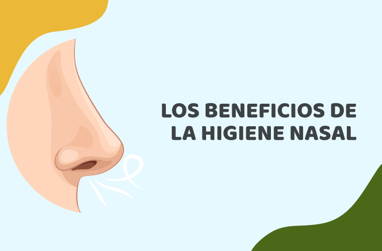 Qué son las fosas nasales y cuál es su importancia para la salud