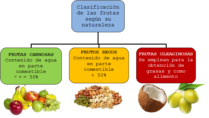 Qué son las frutas, su importancia y cómo se clasifican