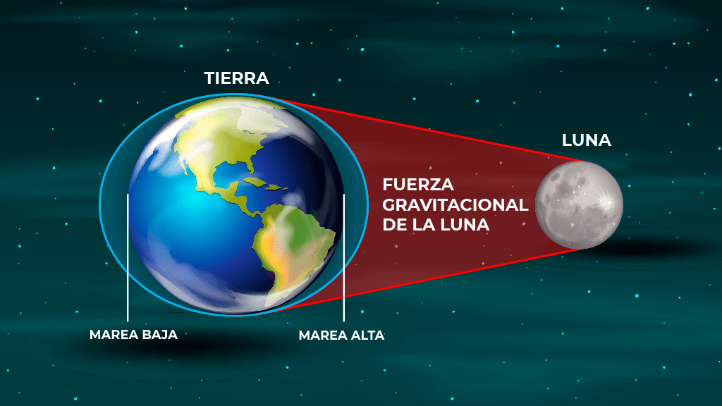 Qué son las mareas y de qué manera afectan nuestro entorno