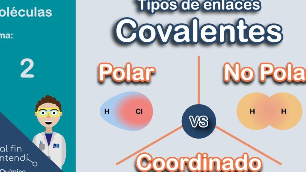 QUE SON LAS MOLÉCULAS POLARES: Descubre su IMPACTO