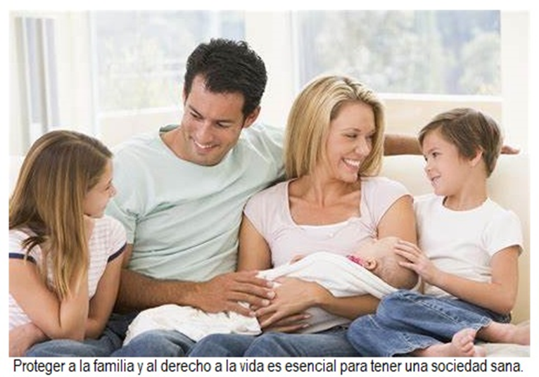 Qué son las providas y cuál es su definición y concepto esencial