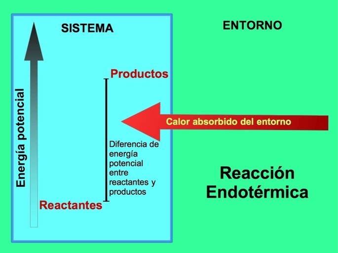 Qué son las reacciones endotérmicas y cuáles son algunos ejemplos