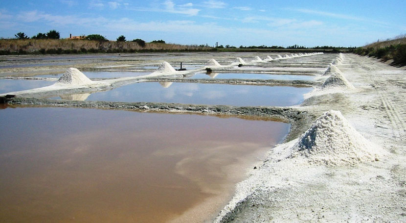 Qué son las salinas y cuáles son sus tipos y conceptos clave