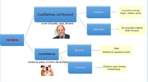 Qué son las variables continuas y por qué son tan relevantes