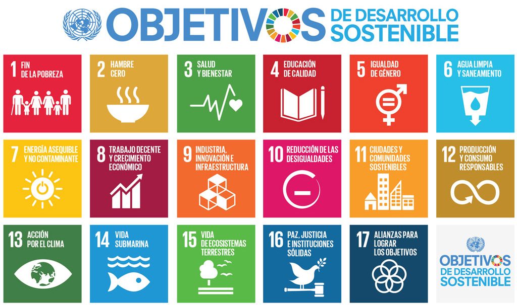 Qué son los 25 ejemplos de sustentabilidad que debes conocer
