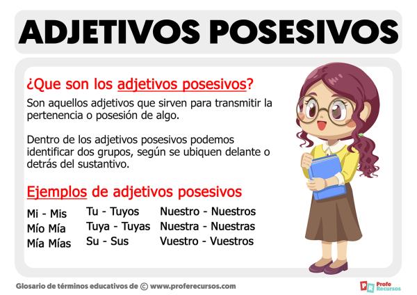 Qué son los adjetivos posesivos y cuáles son algunos ejemplos