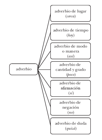 Qué son los adverbios de tiempo y cuál es su importancia