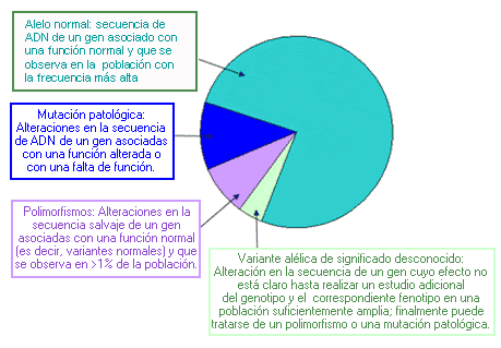 Qué son los alelos y cuál es su definición en genética