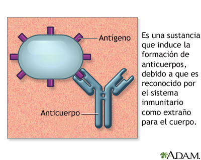 Qué son los antígenos y cuál es su importancia en la salud