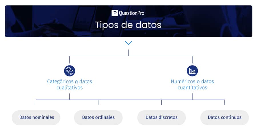 Qué son los datos estadísticos y cuáles son sus principales características