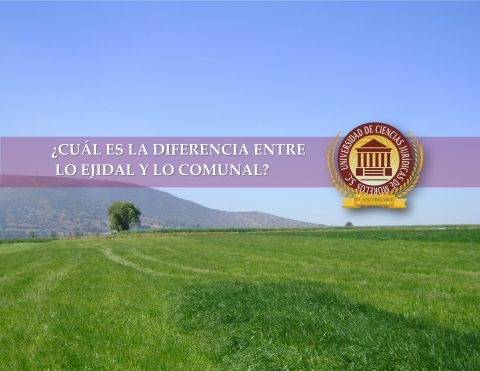Qué son los ejidos y cuál es su significado en la actualidad
