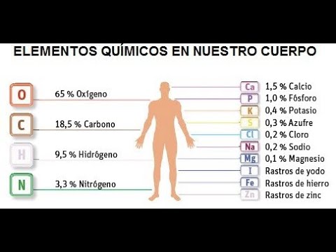 Qué son los elementos químicos presentes en los seres vivos
