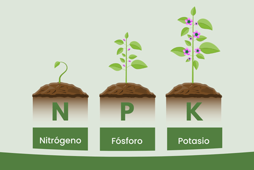 Qué son los fertilizantes y por qué son cruciales en agricultura