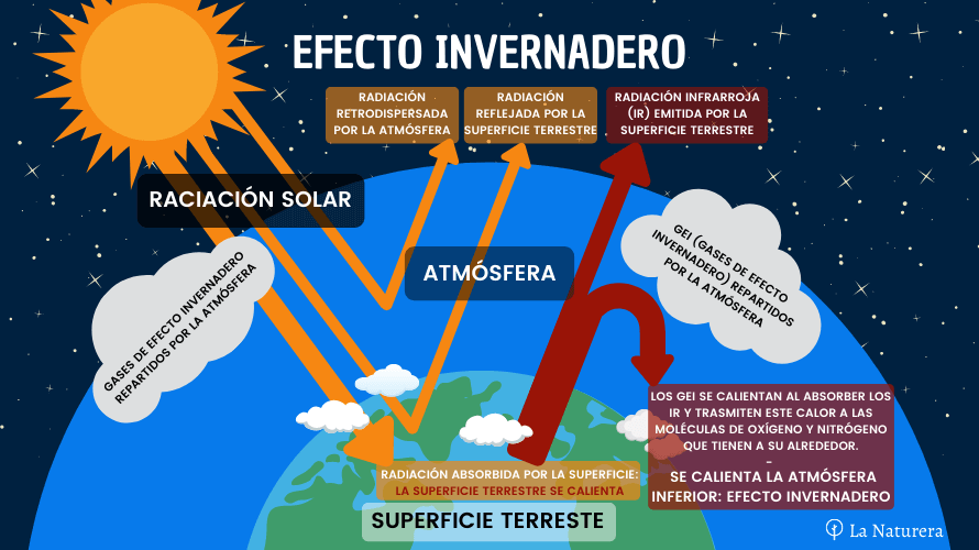Qué son los gases de efecto invernadero y cómo afectan a la Tierra