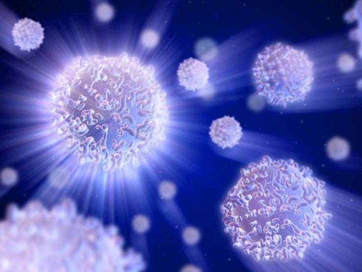 Qué son los glóbulos blancos y por qué son vitales para la salud
