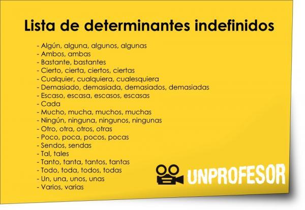 Qué son los indefinidos y cuáles son 50 ejemplos de determinantes