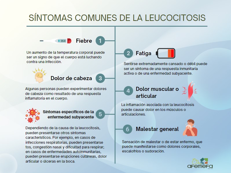 Qué son los leucocitos y qué indica la leucocitosis en el cuerpo