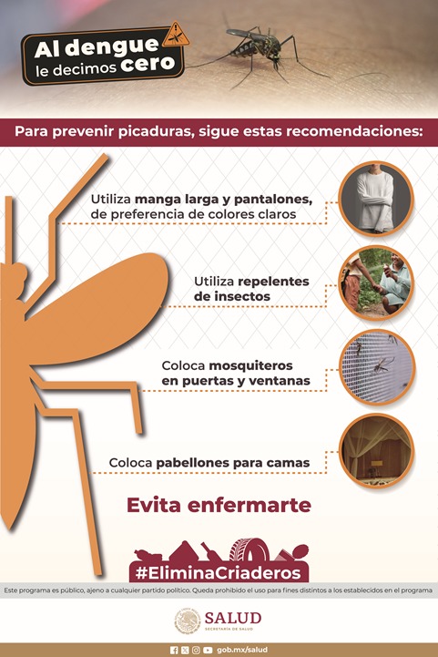 Qué son los mosquitos y cuál es su impacto en nuestra salud
