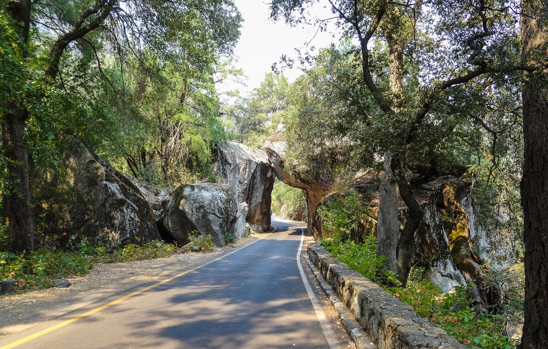 Qué son los parques ecológicos y cuáles son sus ejemplos clave