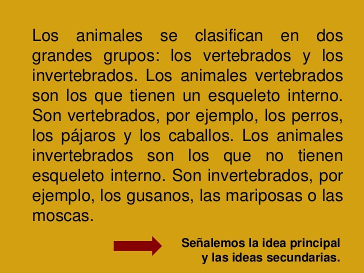 Qué son los párrafos internos para niños de primaria
