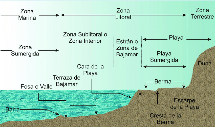 Qué son los pedruscos y cuál es su definición esencial