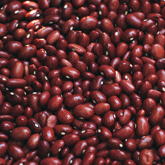 Qué son los porotos, cuáles son sus tipos y su definición clara