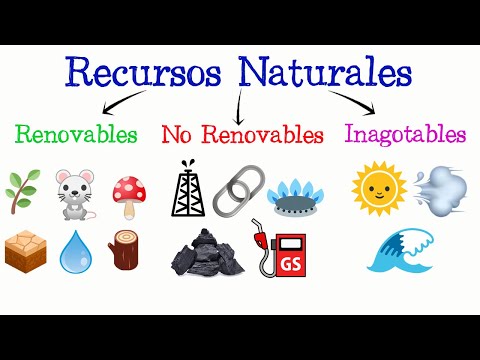 Qué son los recursos inagotables y qué ejemplos útiles tienen