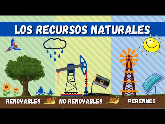Qué son los recursos renovables y por qué son tan importantes
