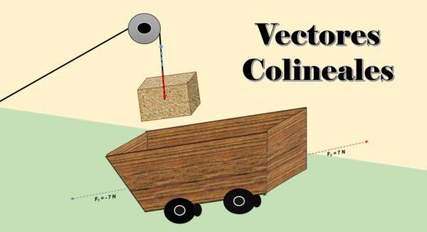 Qué son los sistemas de vectores colineales y cómo se definen