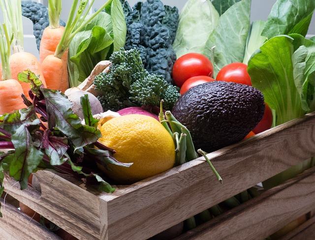Qué son los VEGETALES: Definición y Significado Clave
