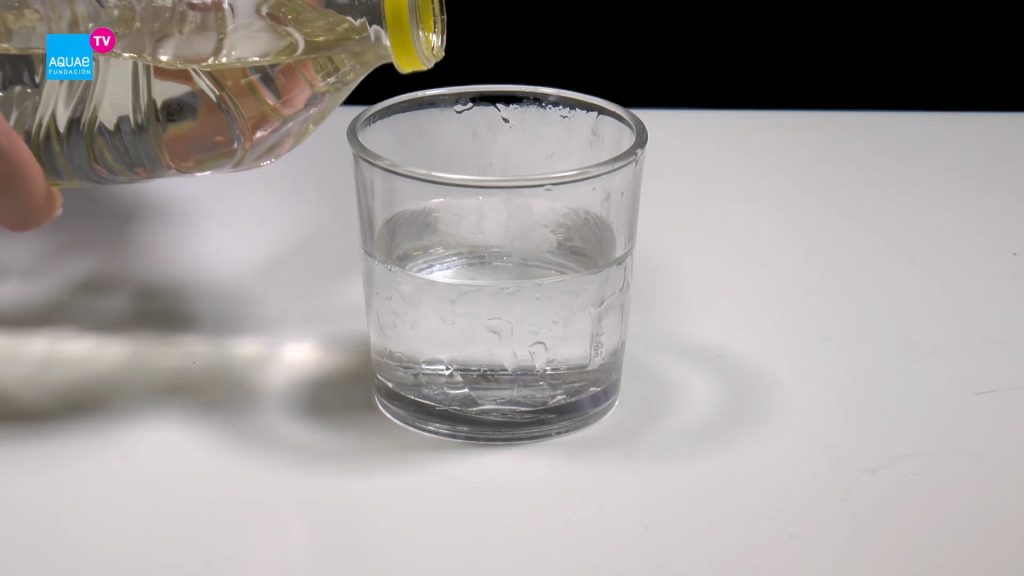 QUÉ SUCEDERÁ DESCUBRE el EXPERIMENTO con AGUA y ACEITE