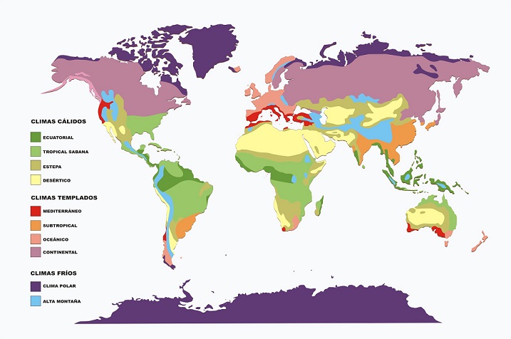 Qué tipos de mapas existen y cuáles son sus usos y variedades