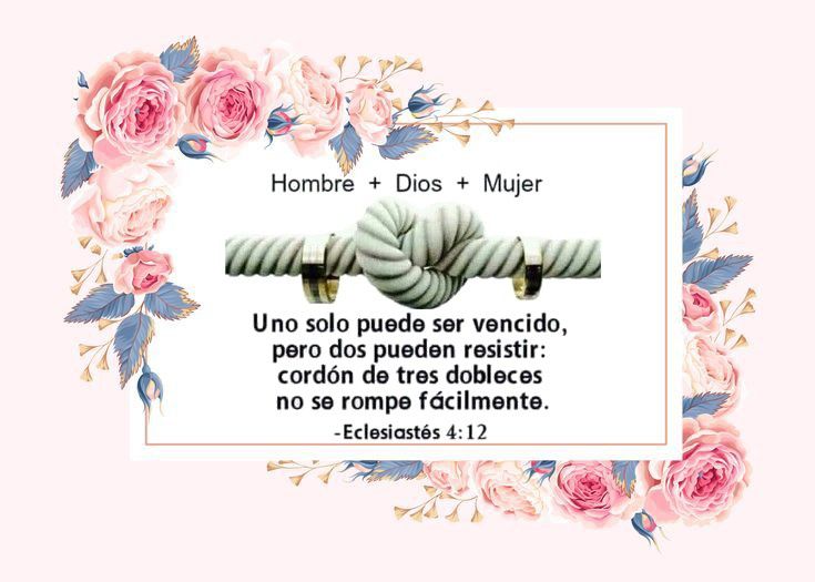 Quién puede resistirse a la mágica letra de Campanitas de Oro