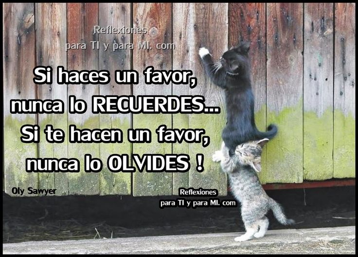 Quiénes son las personas que realmente me apoyan en la vida