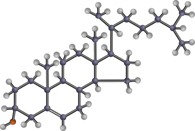 QUÍMICA ORGÁNICA: CONCEPTO, HISTORIA y COMPOSICIÓN