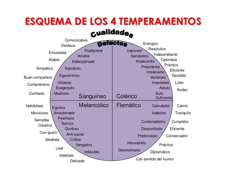 QUISQUILLOSO: SIGNIFICADO y CARACTERÍSTICAS CLARAS