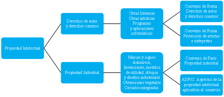 RAMAS DEL DERECHO PRIVADO: QUÉ ES Y POR QUÉ IMPORTA