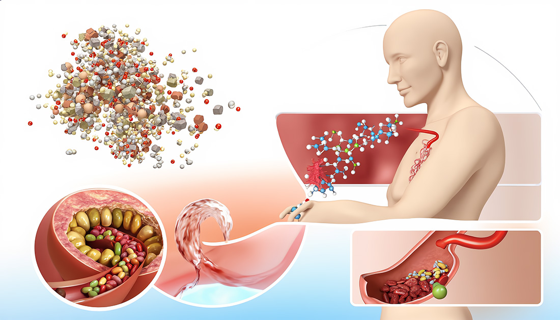 REACCIONES QUÍMICAS EN EL CUERPO HUMANO: ¡DESCÚBRELAS!