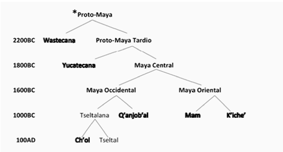 RECONSTRUCCIÓN: Qué es y su IMPACTO en la LINGÜÍSTICA