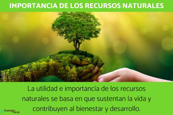 RECURSO: SIGNIFICADO, CLASES e IMPORTANCIA ESENCIAL