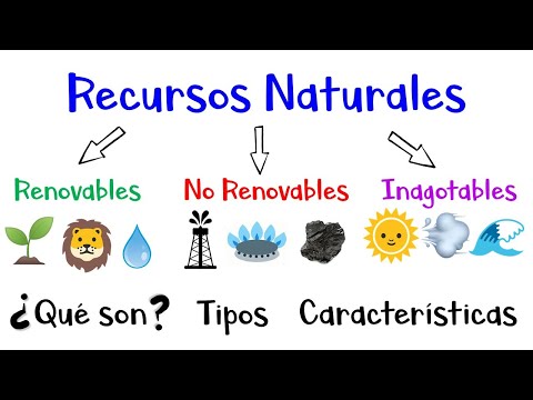 RECURSOS RENOVABLES y NO RENOVABLES: ¡Descúbrelos!