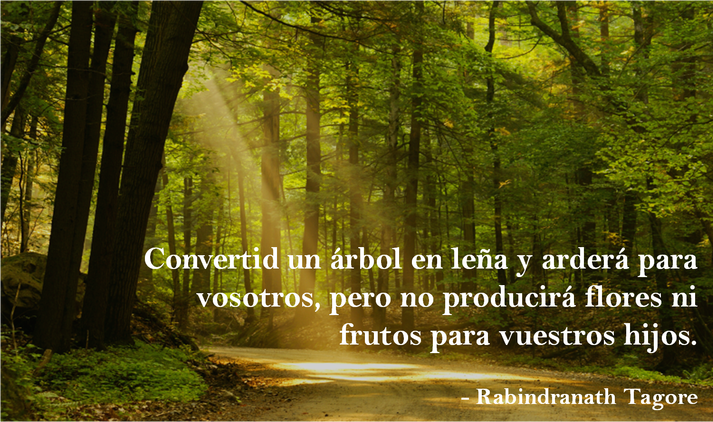 REFLEXIÓN: 5 FRASES IMPACTANTES sobre el MEDIO AMBIENTE