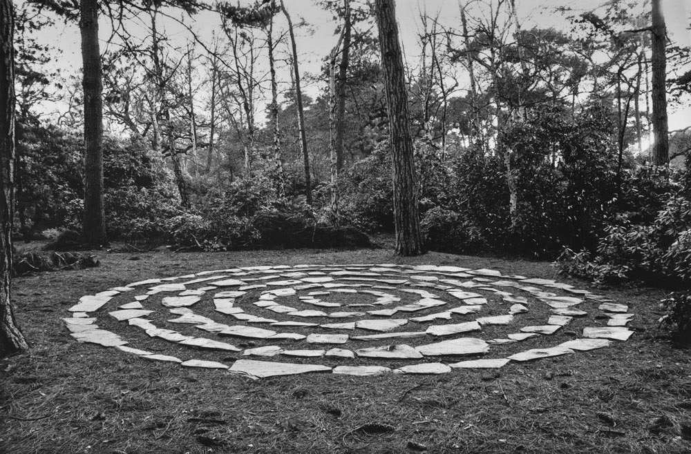 REPLANTE: DESCUBRE EL ARTE QUE TRANSFORMA VIVIENDOS