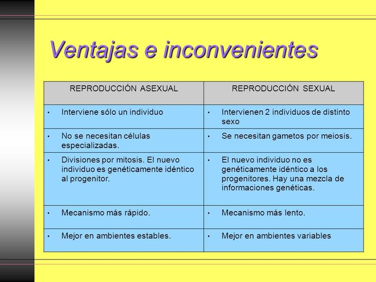 REPRODUCCIÓN ASEXUAL: TIPOS, VENTAJAS Y DESVENTAJAS