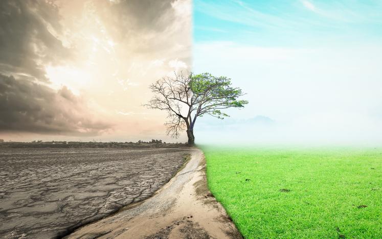 RETOS AMBIENTALES Y SOCIALES: ¡DESCUBRE SOLUCIONES!