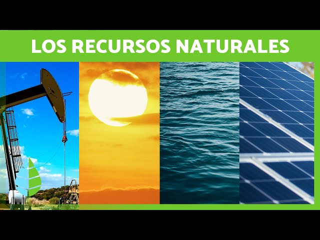 Riqueza Natural: Qué es, Importancia y Concepto Clave