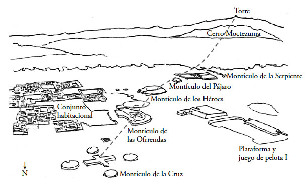 RIZOMA: Significado, ESTRUCTURA y FILOSOFÍA Revelados